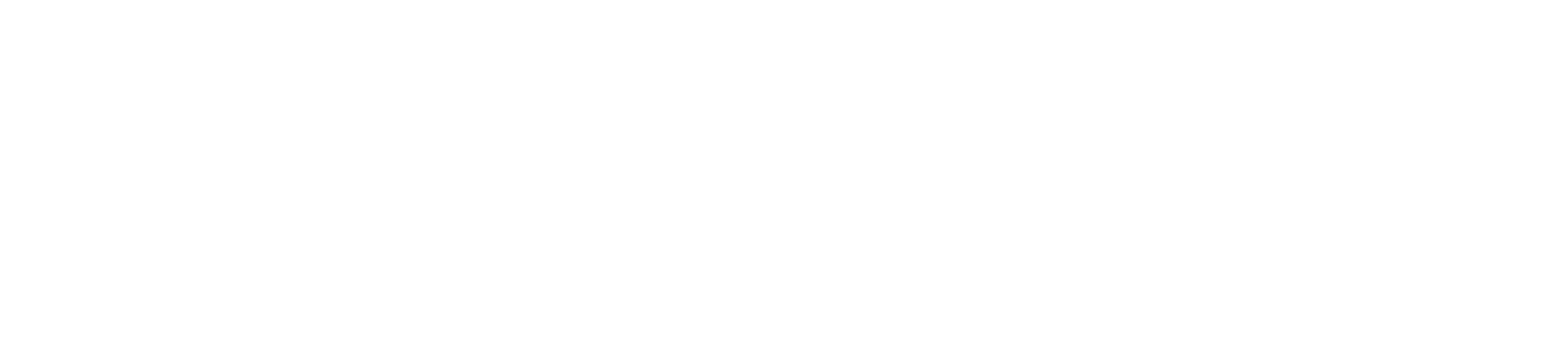 WEBSOL